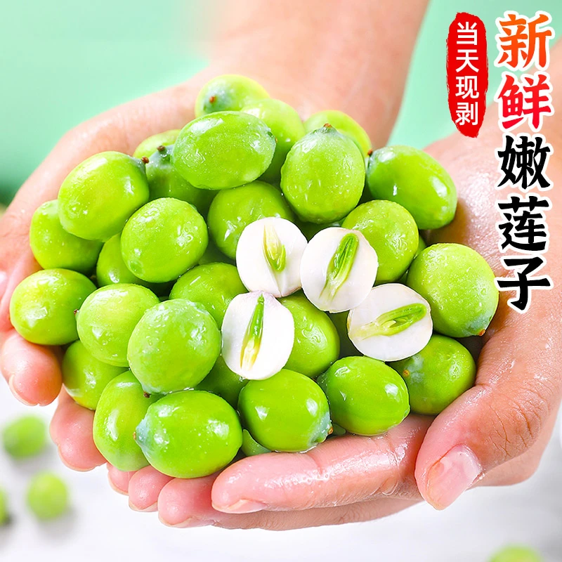 【鲜嫩多汁】新鲜嫩莲子1-4斤现摘鲜嫩生莲米莲子清甜鲜莲子饱满
