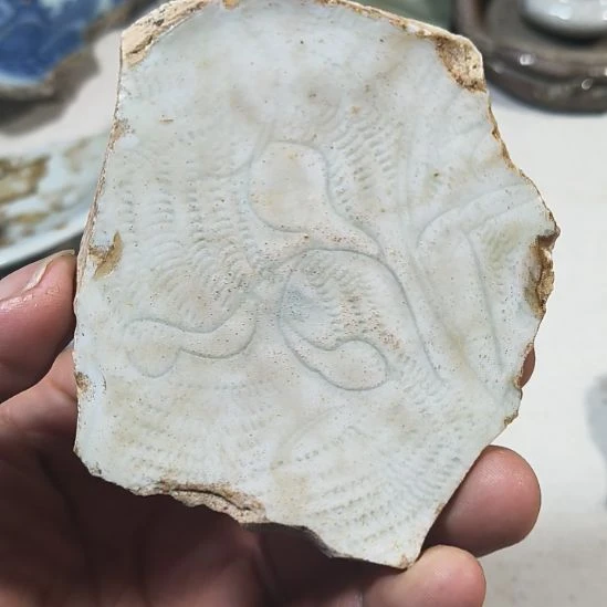 瓷片瓷片瓷片瓷片瓷片