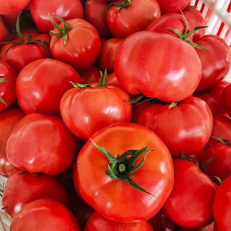 特价套餐半斤芹菜一斤西红柿一斤白菜苔