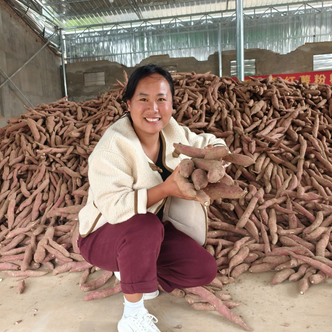 新鲜板栗红薯陕西临潼产地直销板栗薯心白小香薯山芋地瓜番薯红心