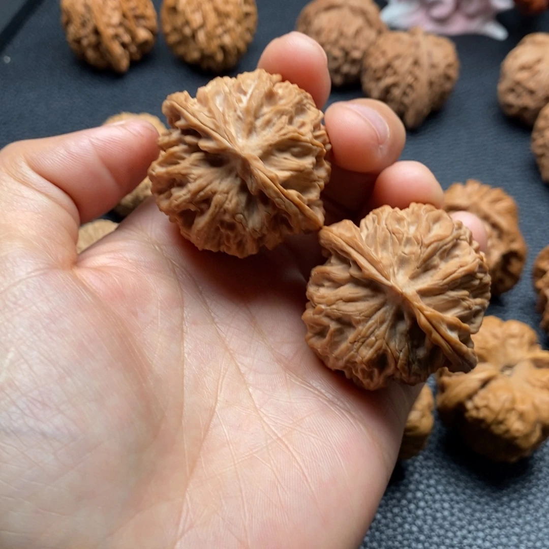 核桃全品苹果1111111