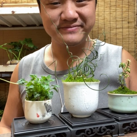 红陶一物一拍所见即所得308