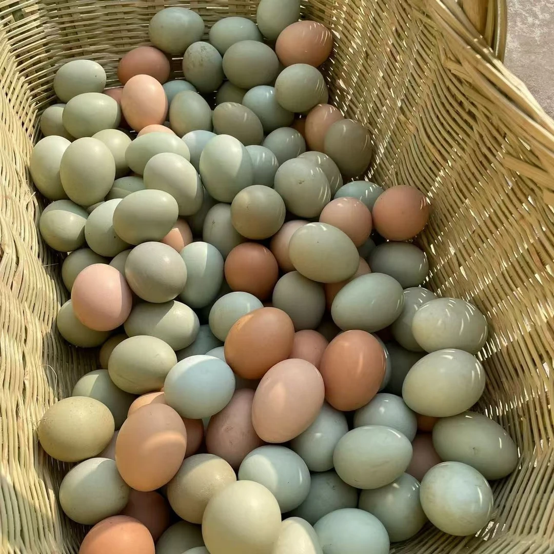 【30枚】（ 次日达）贵州大山散养跑山鸡新鲜农家土鸡蛋现捡现发   0激素   0抗生素   0色素