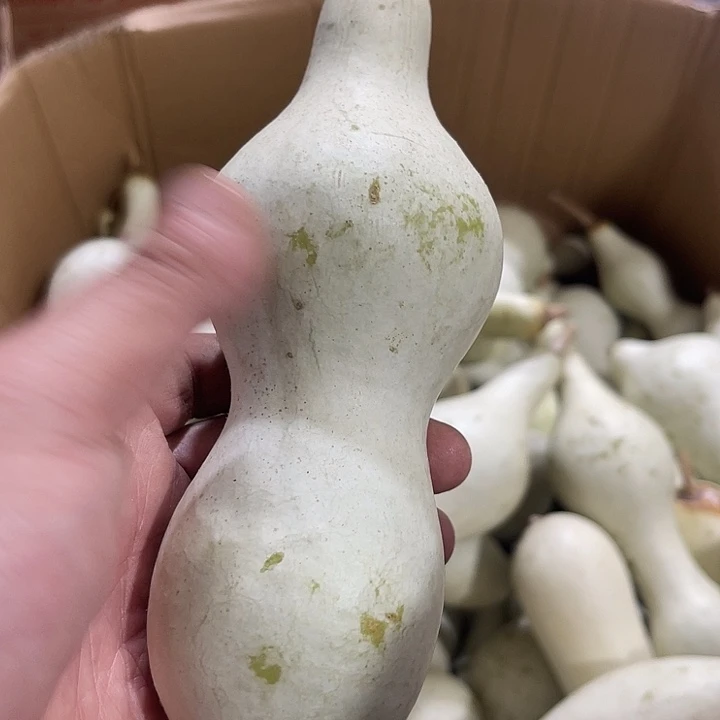 非洲紫檀（红花梨）正**敌