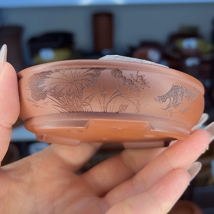 紫砂荷叶小鱼花盆呀好可爱