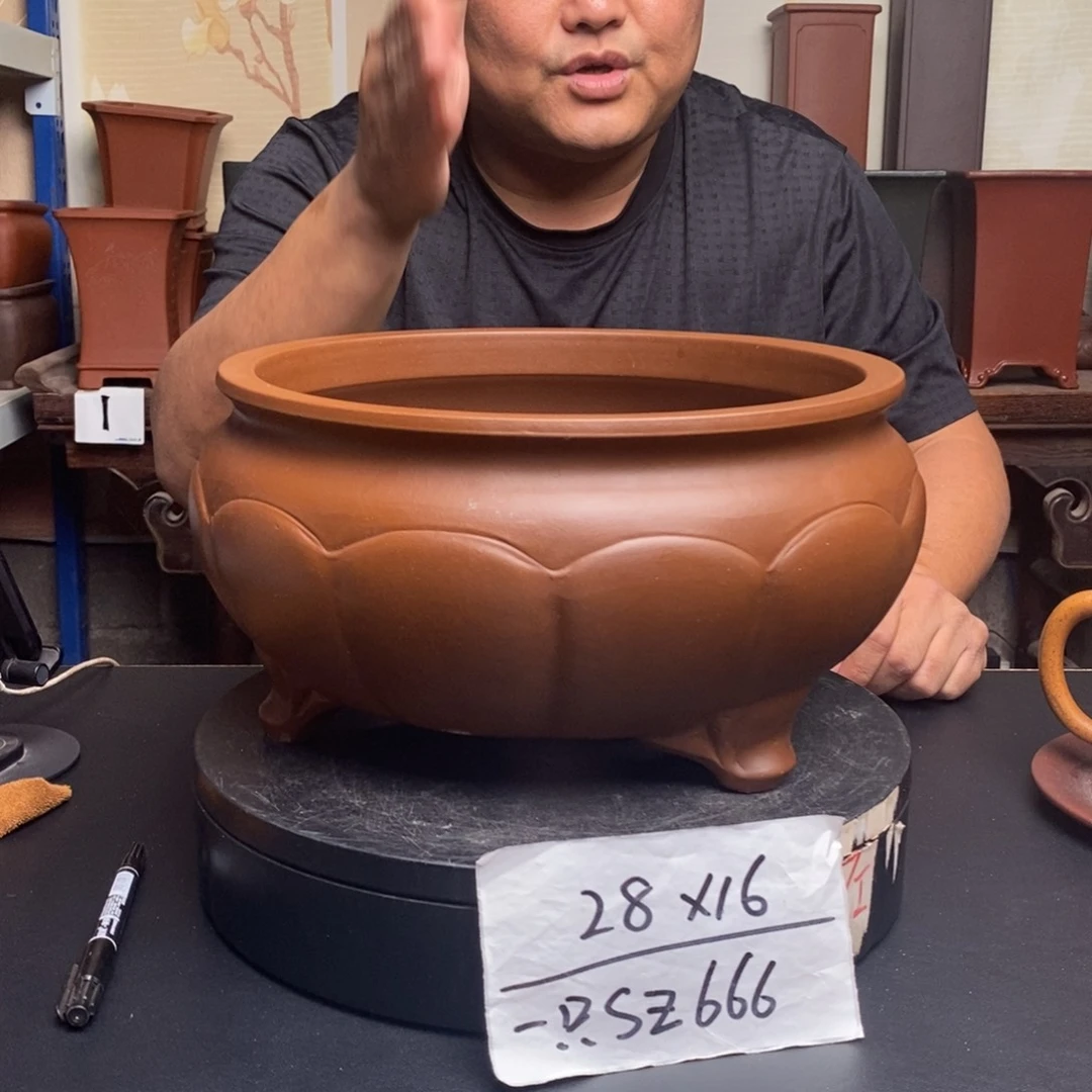 紫砂花盆是Z666货号一只