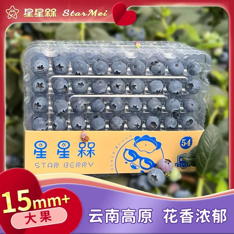 星星槑黄金【熊蜂生物授粉】云南正宗高原蓝莓 15+花香脆甜 500g