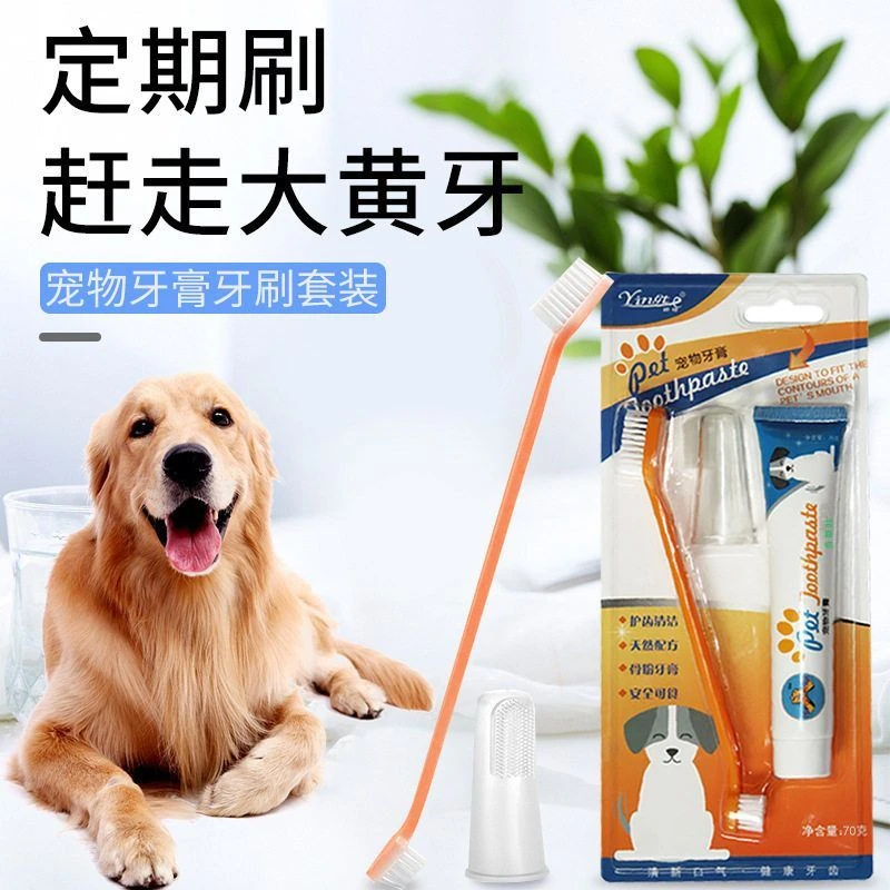 宠物牙膏牙刷套装犬猫通用狗狗猫咪口腔清洁护理牙齿狗狗牙刷