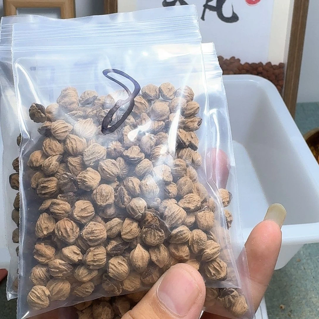 胖***通柏香籽/百香籽吊坠