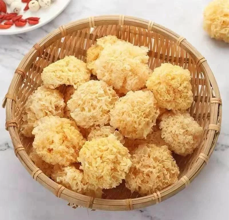 高山农家椴木小银耳甜糯口感出胶高营养丰富