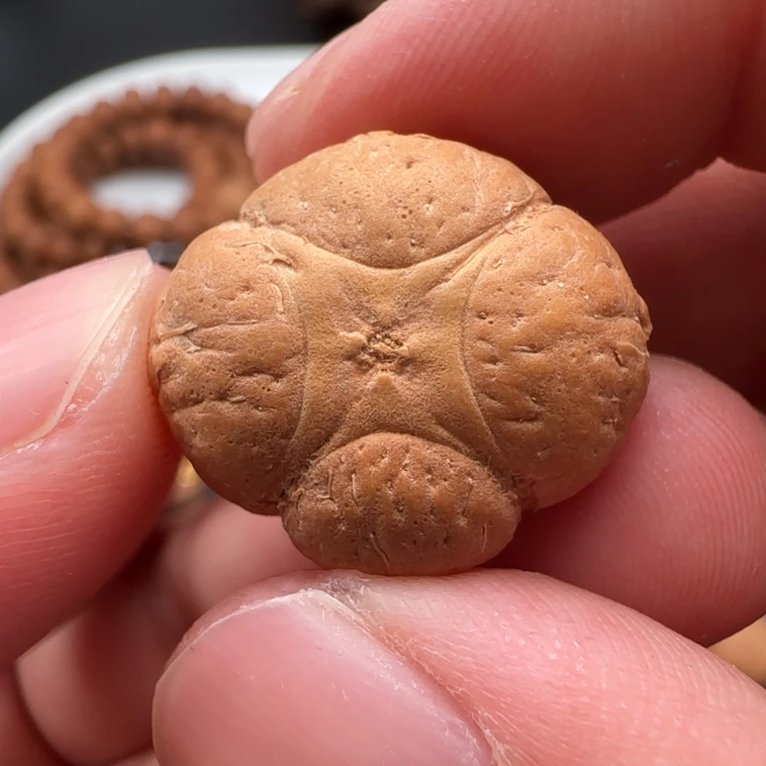 K****麒麟眼菩提吊坠22➕精品梅花麒麟