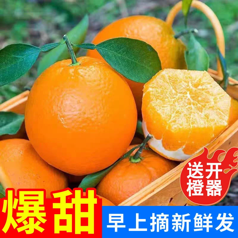 江西赣南脐橙新鲜现摘产地直发