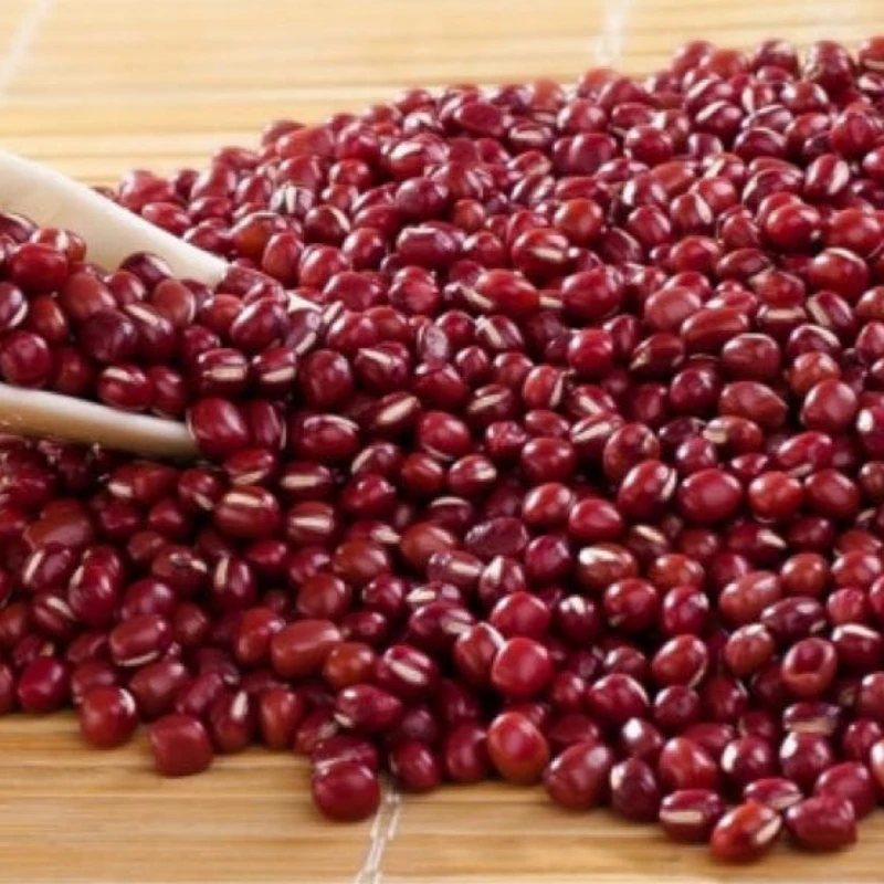 【小刘村长】 农家特产代收山货赤小豆