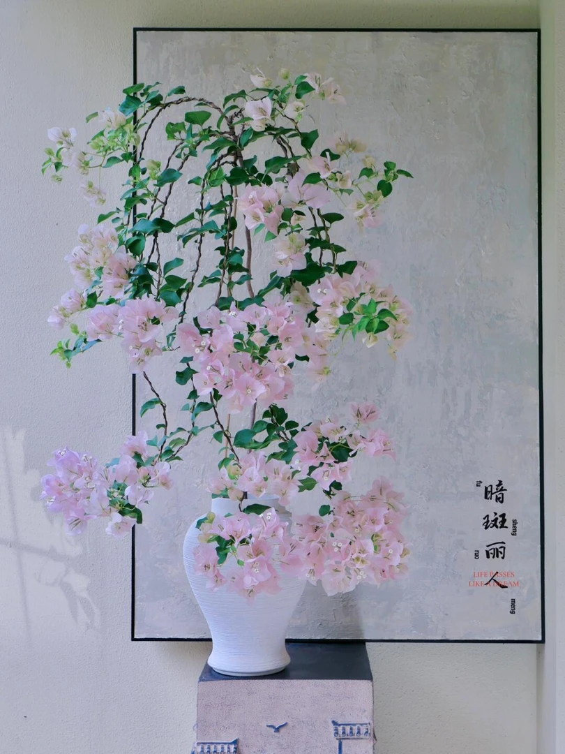 【暗斑丽人】原生袋苗三角梅四季勤花爬藤垂吊盆栽（无售后）