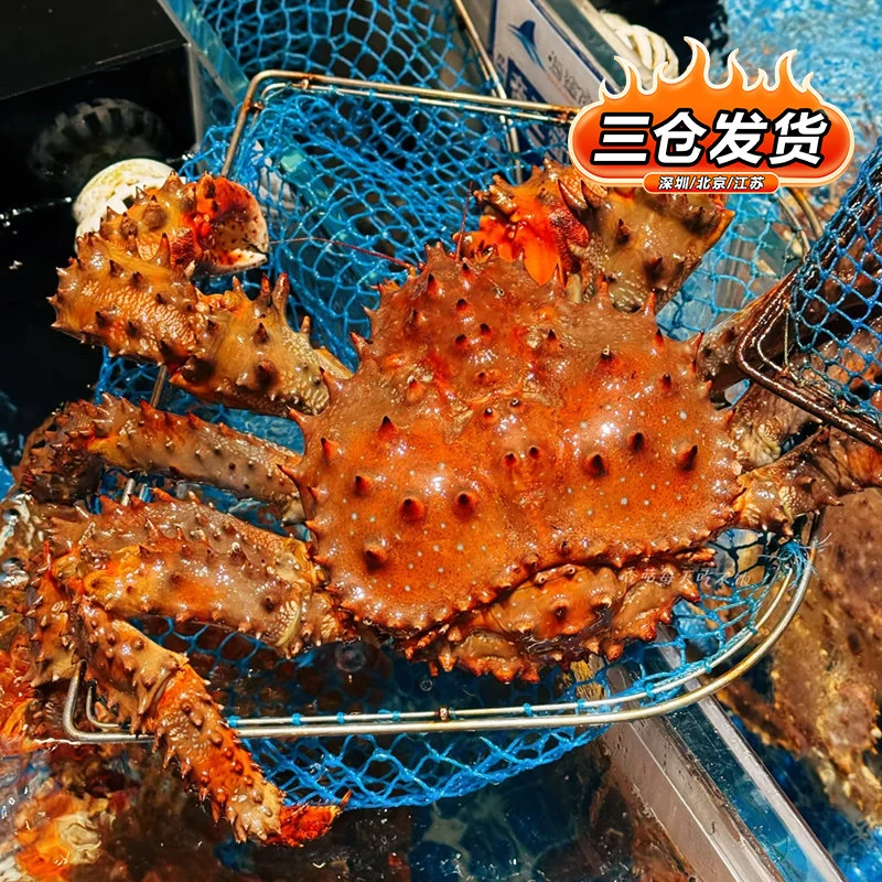 【冰鲜花椒帝王蟹3.5-4斤】俄罗斯进口 冷冻大螃蟹 生鲜 年货礼盒