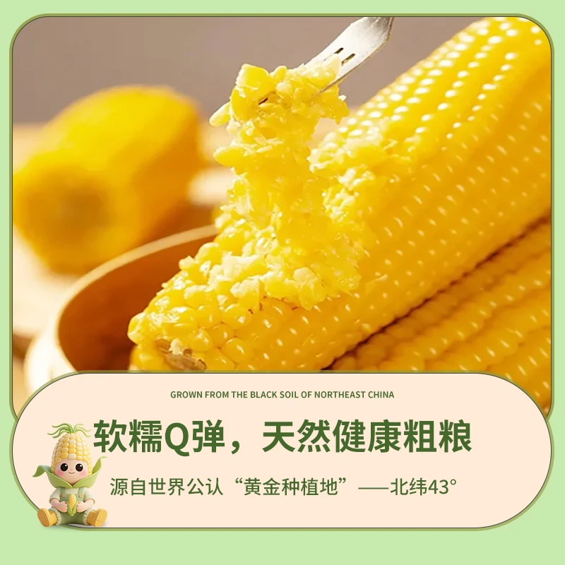 试吃3根东北头茬黄糯玉米铝箔包装粗粮营养代餐240g*10根银铝619