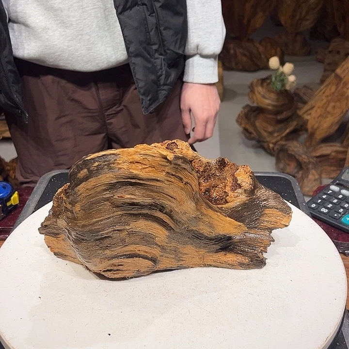 松木（琥珀木）有****。