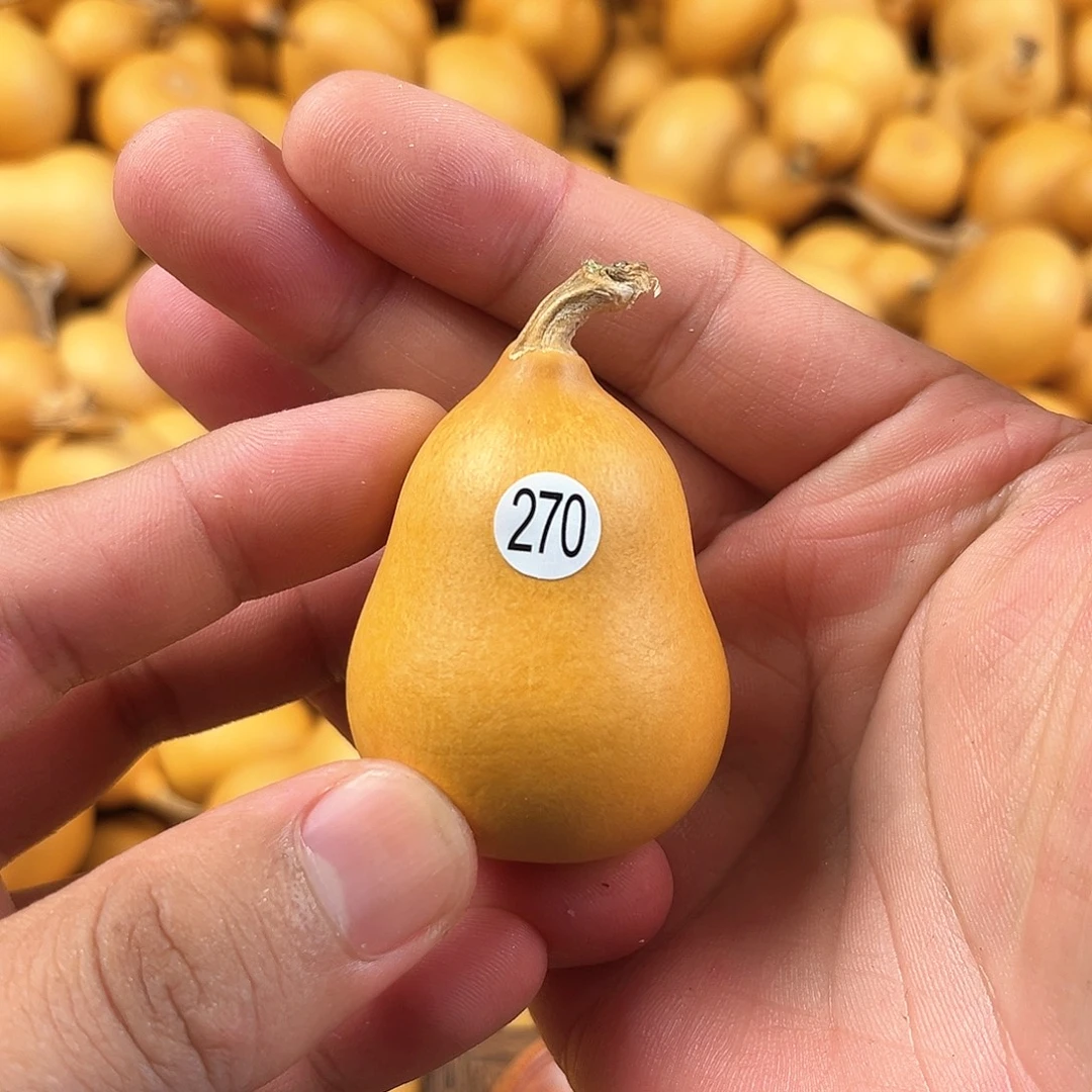 二葫芦葫芦葫芦葫芦270