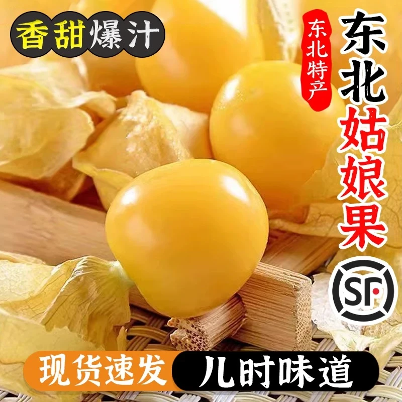 【顺丰包邮】姑娘果 奶香 灯笼果 新鲜水果 应季水果 东北黑土地D-1