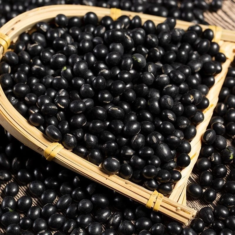 【升发】   干黑豆