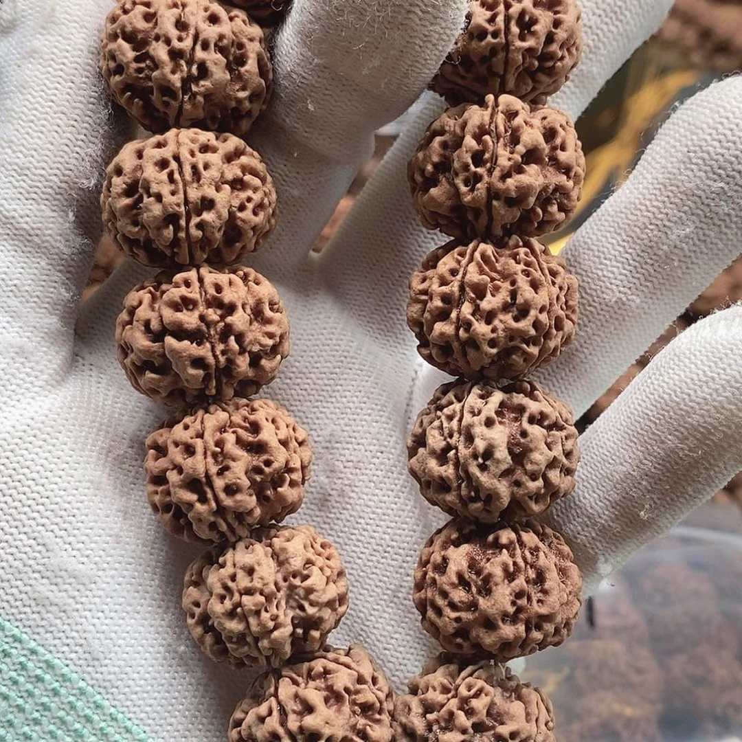 金刚菩提手串22mm蜂窝双龙554#