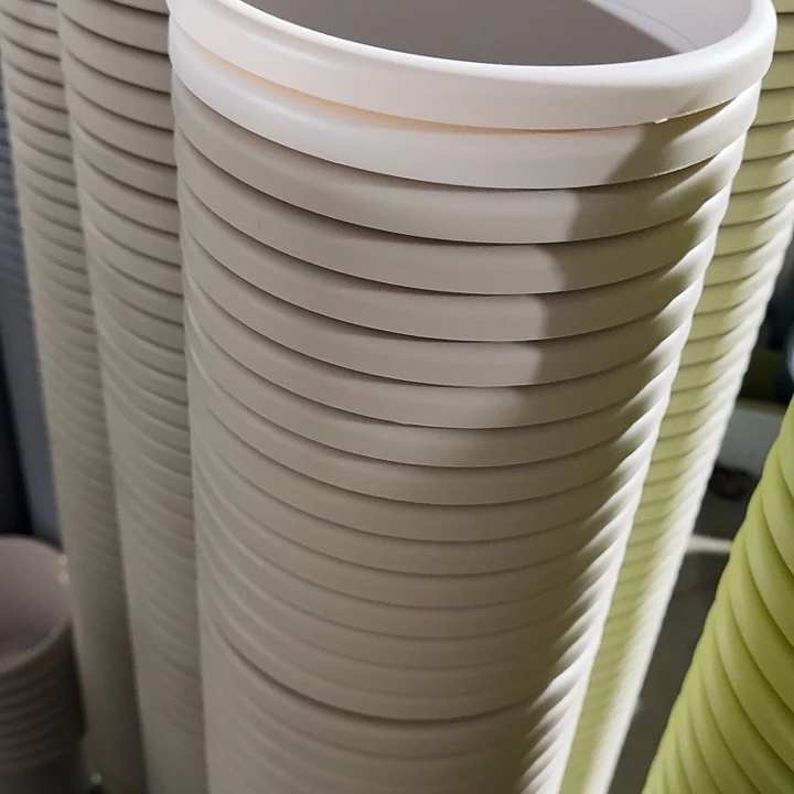 四季3号灰白无托10个特价