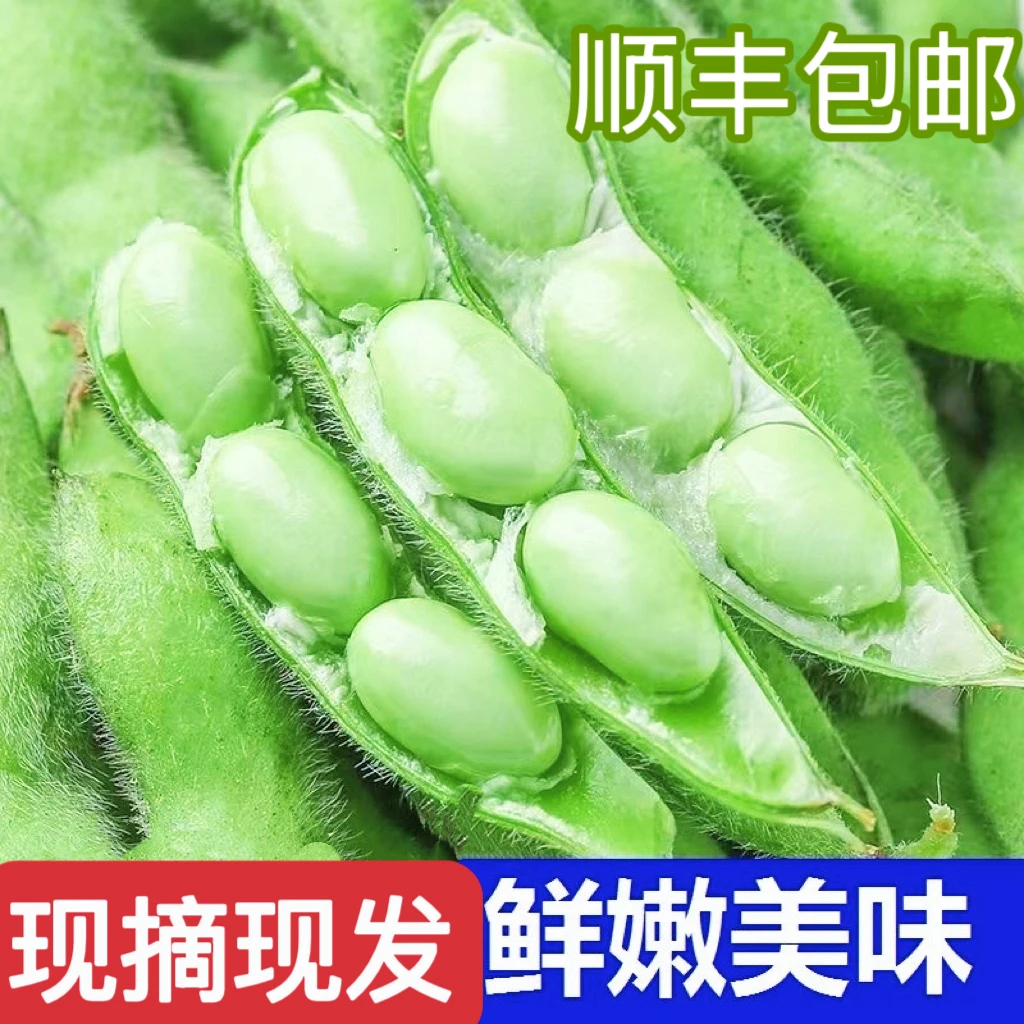 【东弟推荐】顺丰包邮安徽新鲜毛豆嫩毛豆带壳毛豆大青豆农家自种
