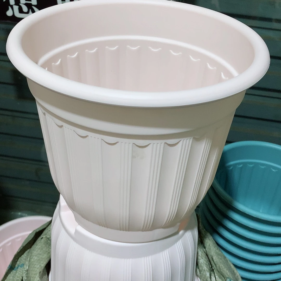 树脂罗马口24粉4个无托