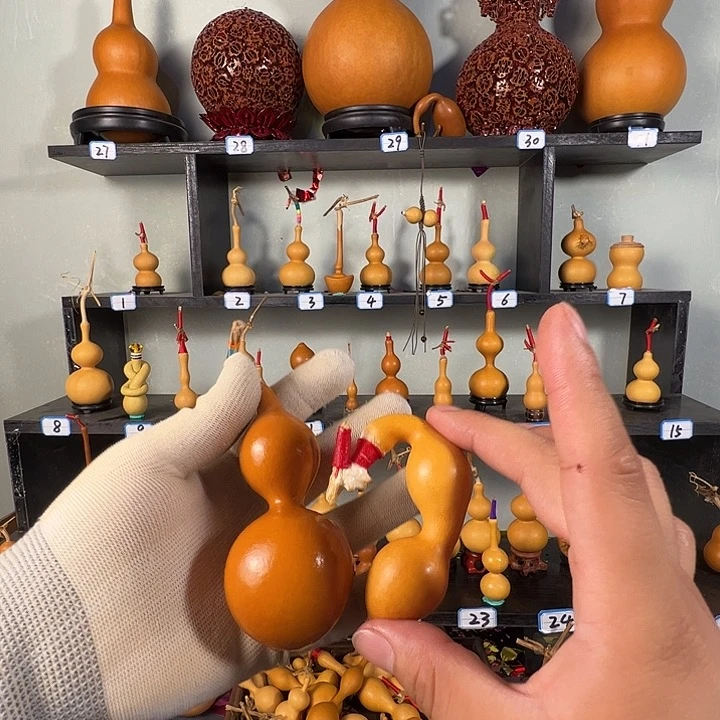 C****?蚂蚁蚂蚁蚂蚁蚂蚁