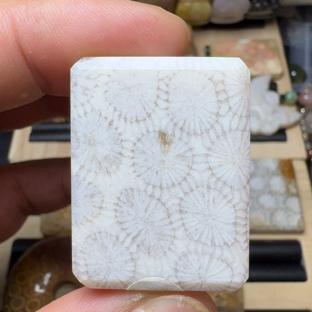 未镶嵌纯天然色有机玉石保真色硅化玉