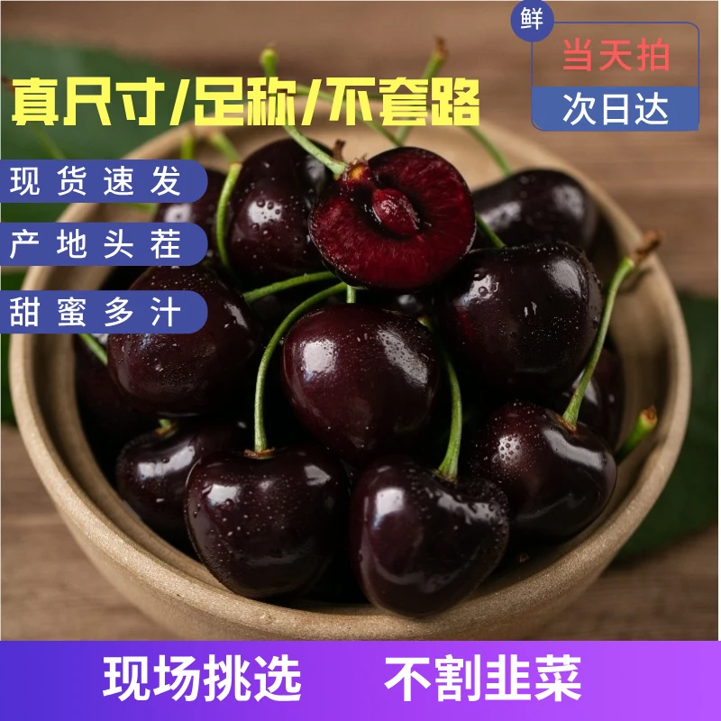 顺丰海运桑提娜车厘子2-3JD现货黑车5斤新鲜水果内附果径卡