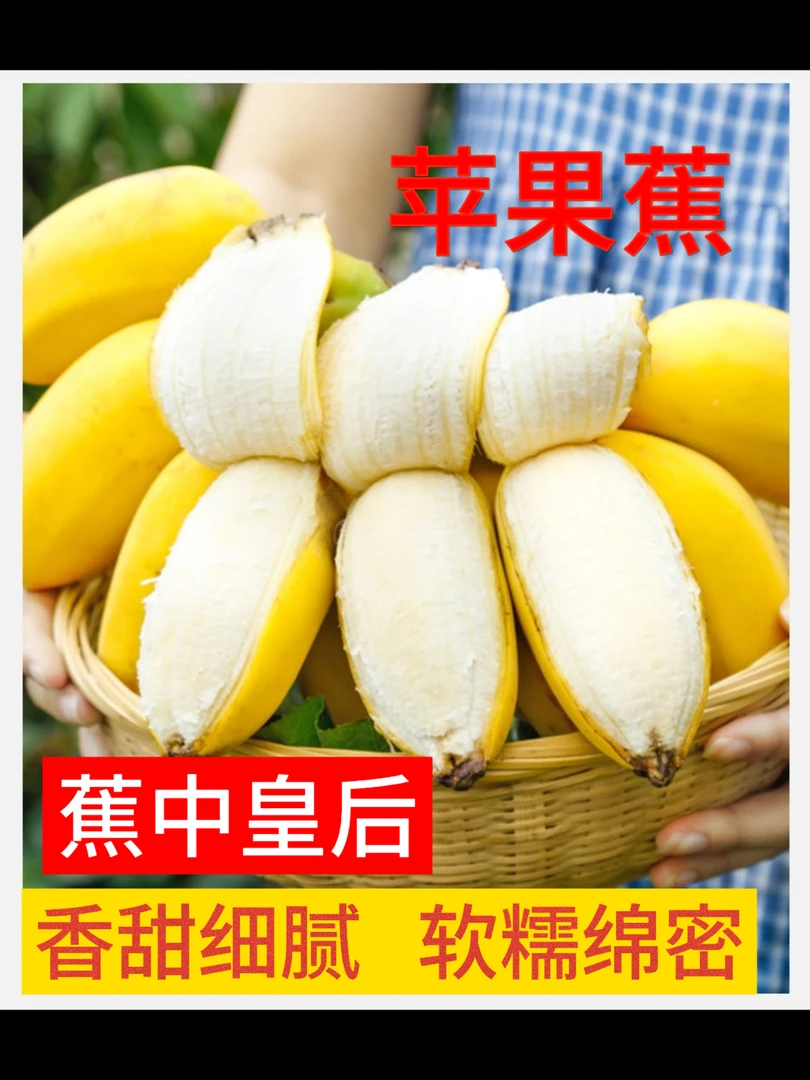正宗广西原产地直发香甜苹果蕉粉蕉