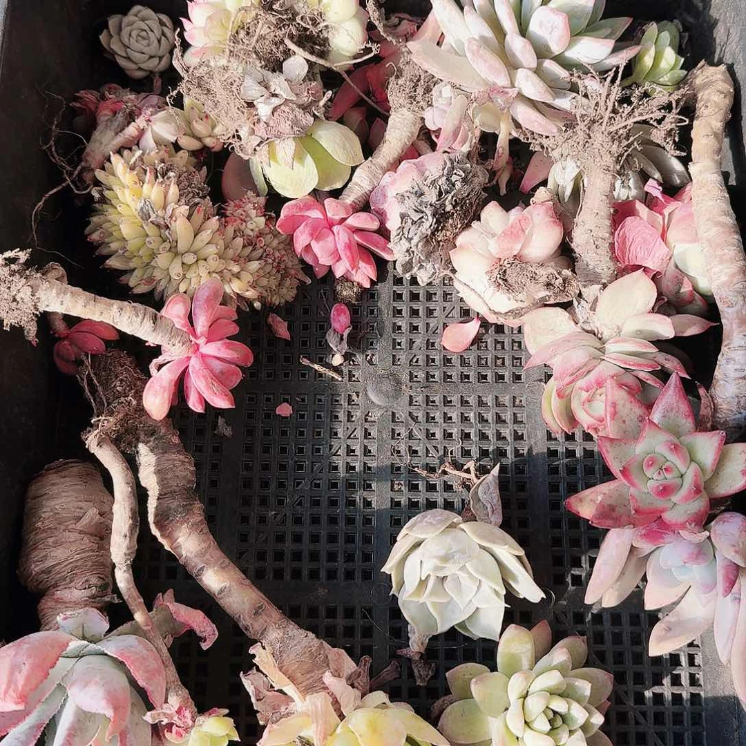 满20包邮零下拍保温箱32号无售后