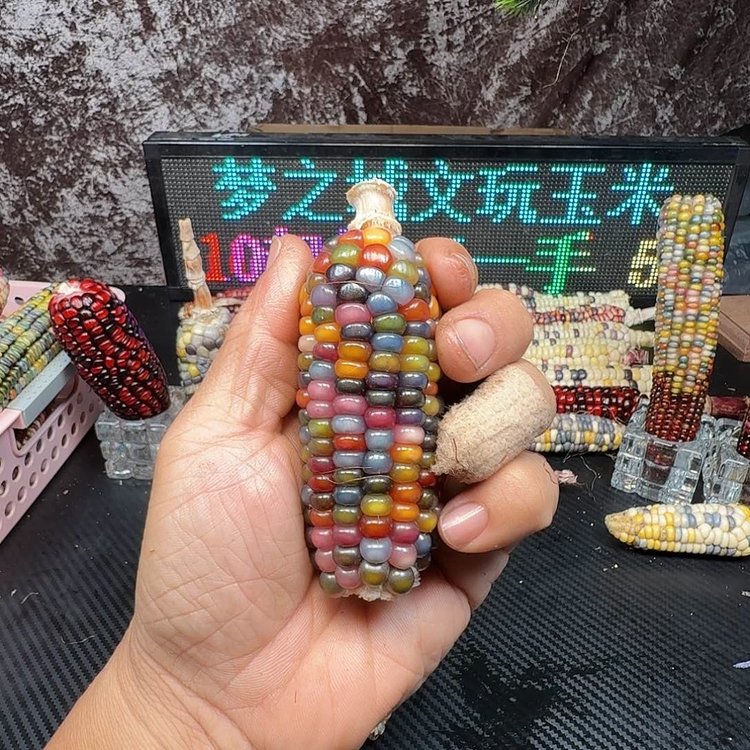 m***l大叶紫檀（黑酸枝木类）