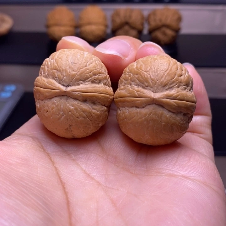 把件文玩核桃碧海龙珠10