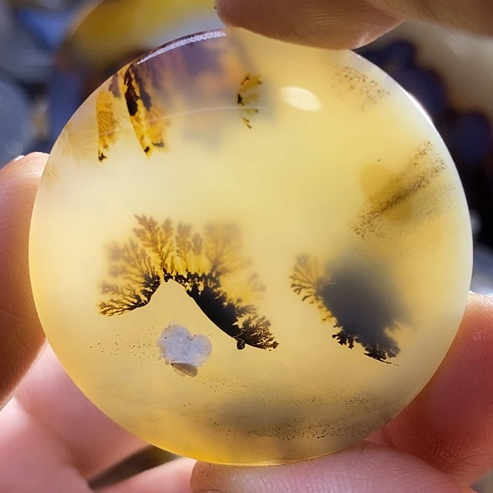 未镶嵌颈饰玛瑙/玉髓木**0