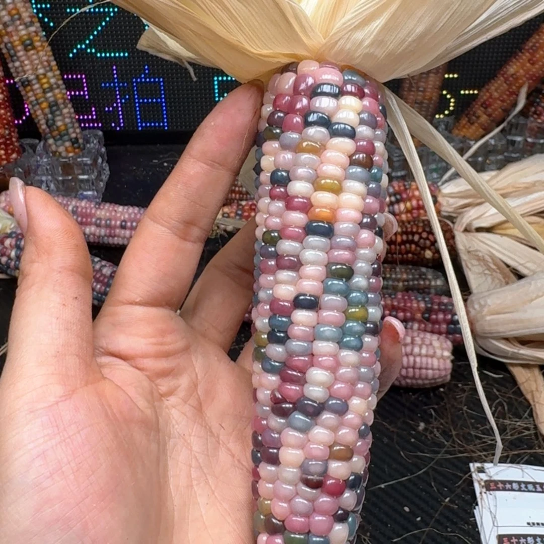 柏香籽/百香籽吊坠芝****n