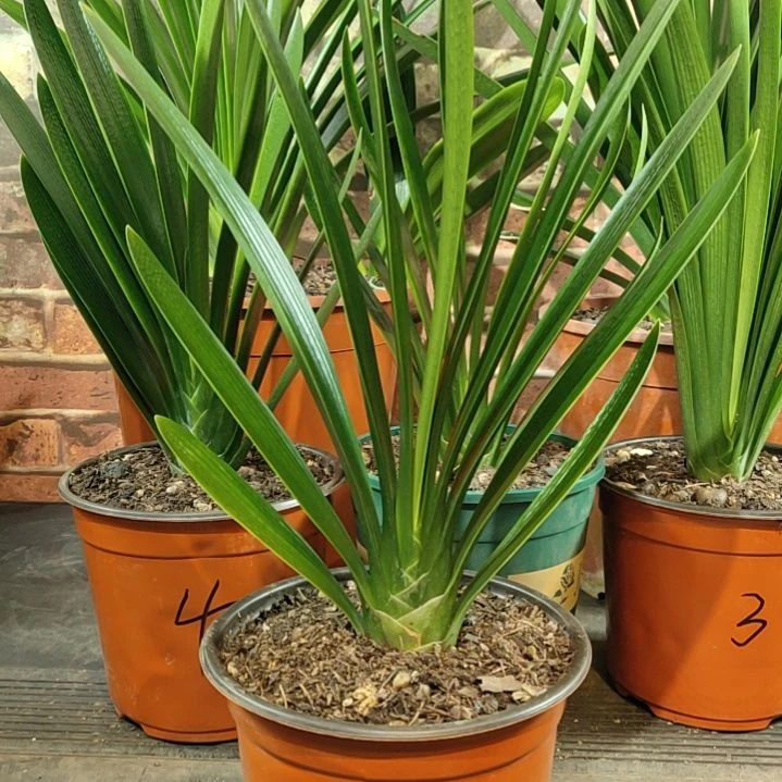 完全开放11111111