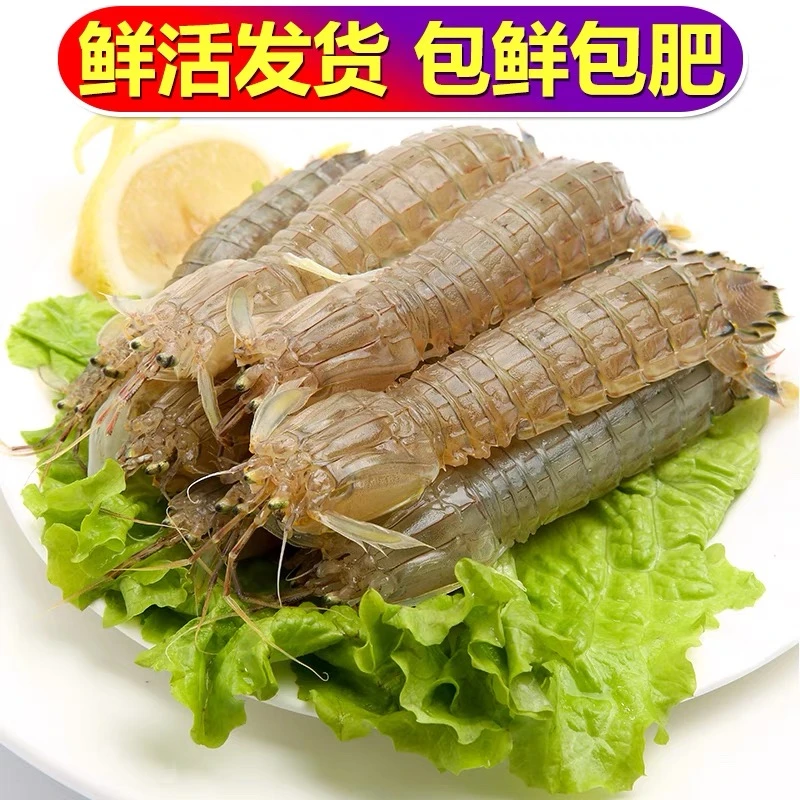 鲜活皮皮虾1斤一份