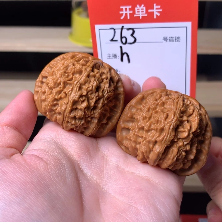 核桃41白狮子263号