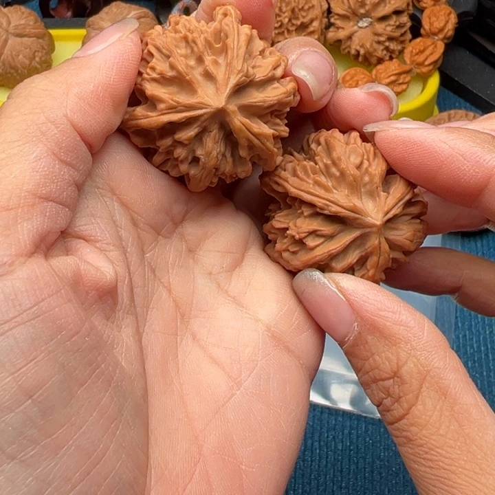 核桃文玩核桃三棱