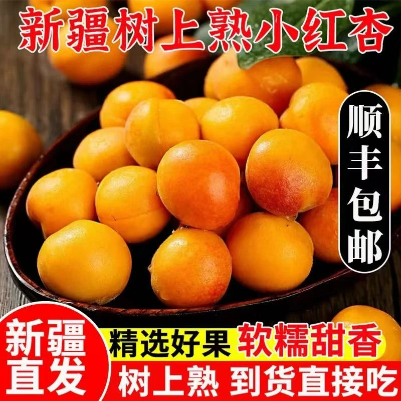正宗新疆小红杏阿克苏吊干杏当季新鲜水果孕妇纯甜顺丰包邮