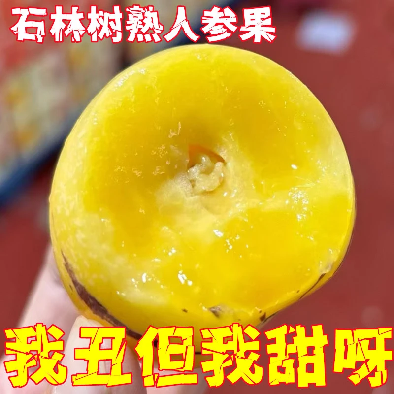 【真树上熟】正宗云南石林树上熟人参果爆汁清甜特大新鲜现采发货