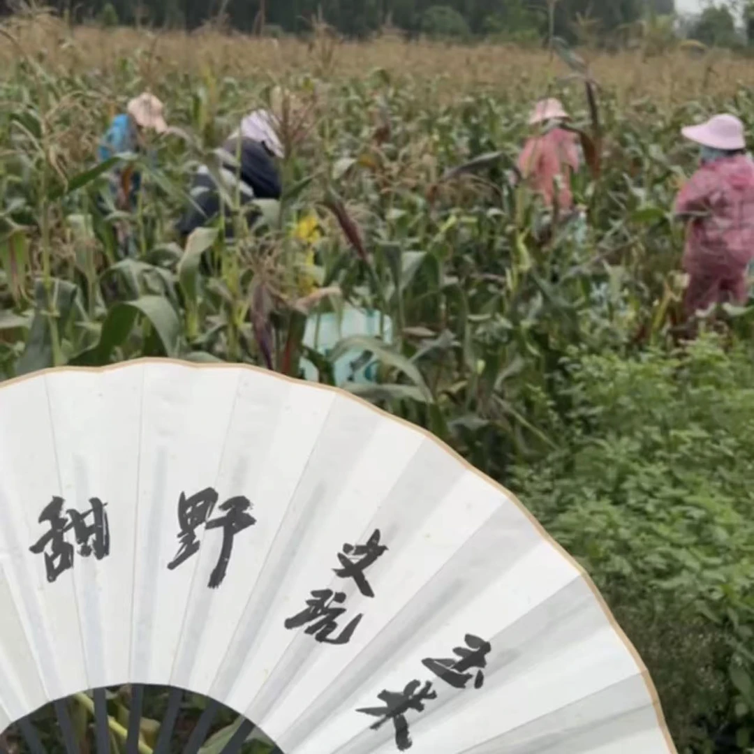 文玩玉米直播间专链【一单一付 NO退NO换】定制手把件摆件 5的倍数