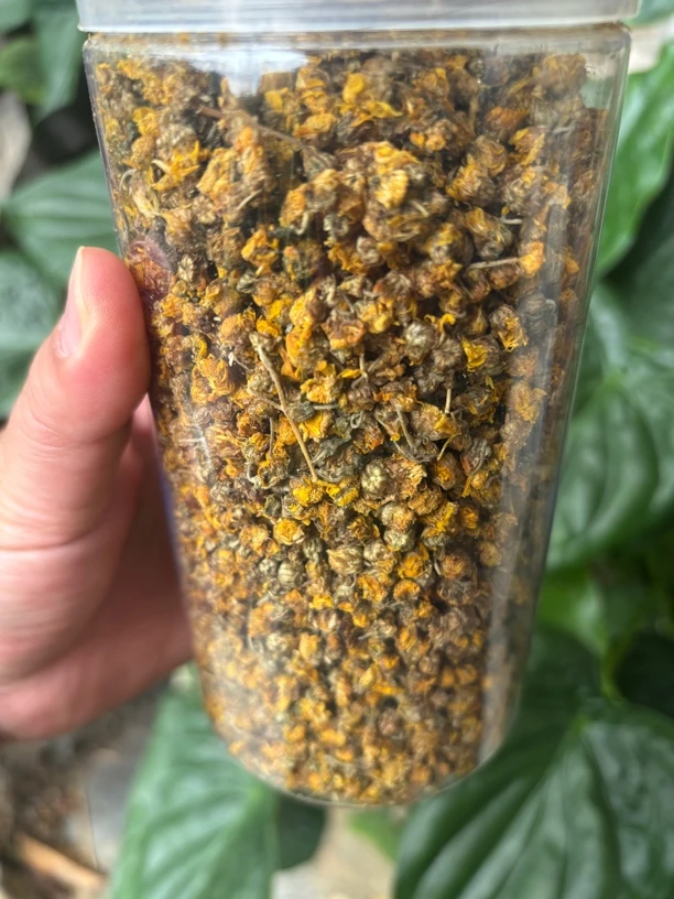 广西大山野菊花干货