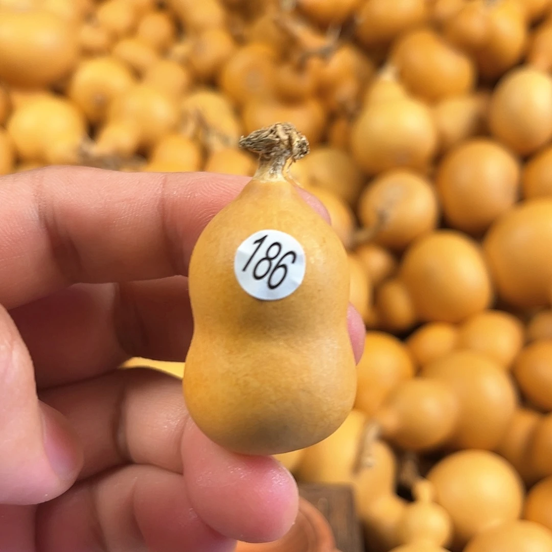 一葫芦葫芦葫芦葫芦葫芦186