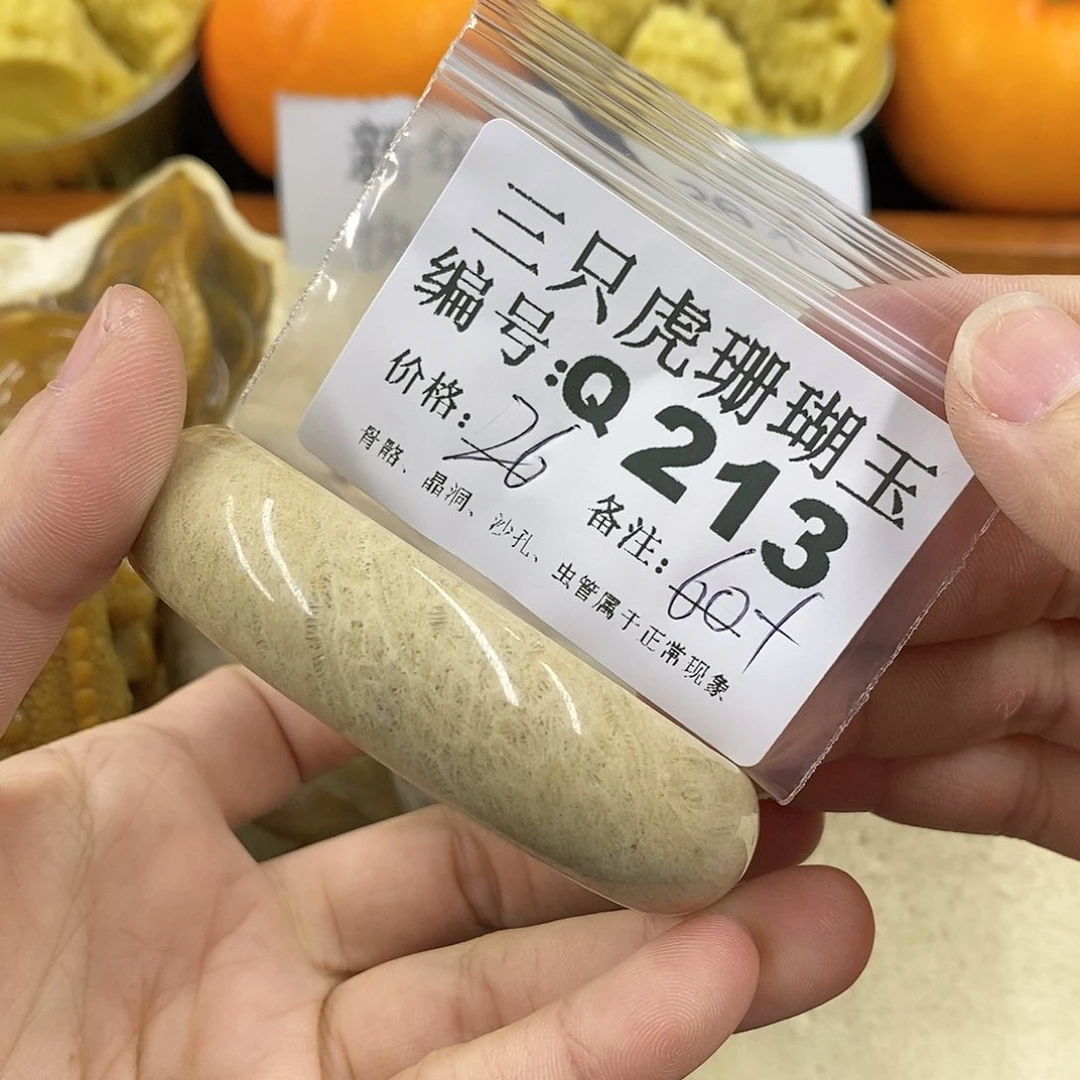 硅化珊瑚（珊瑚玉）1未镶嵌?***?