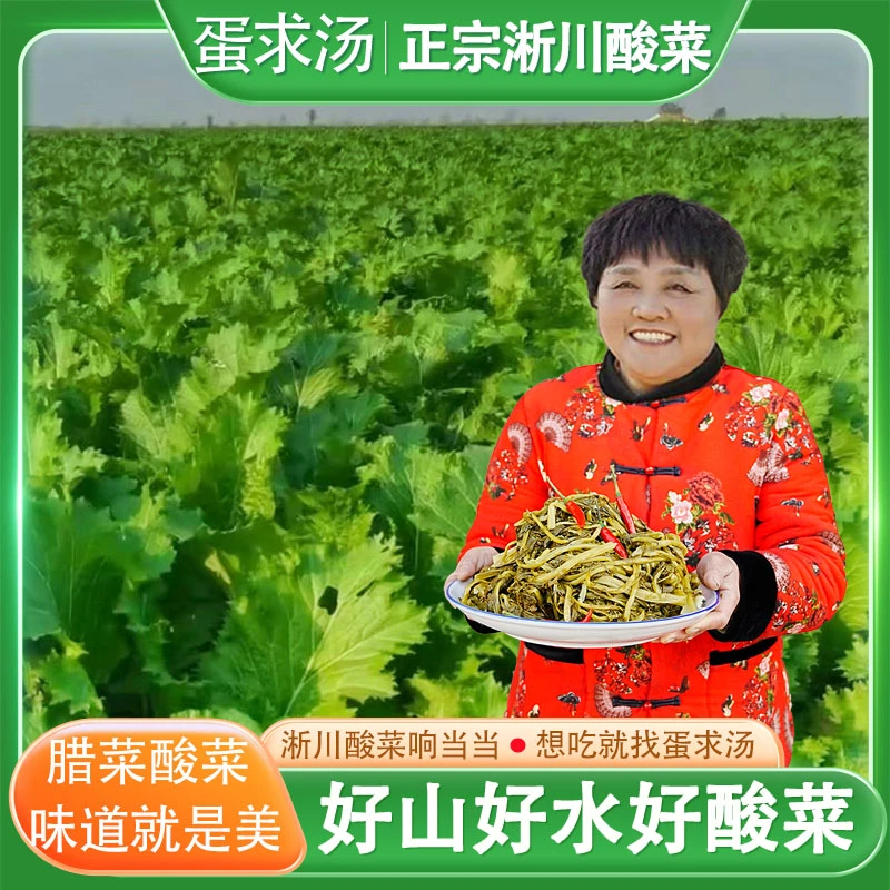 南阳淅川特产酸菜毛腊菜南阳特产纯手工湿酸菜农村自制野辣菜
