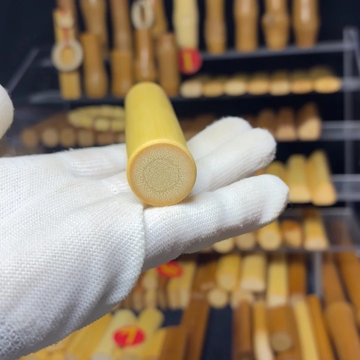 实心玉竹精品黄皮