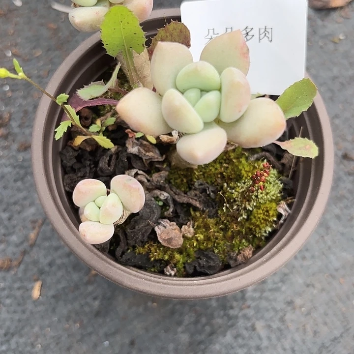 闪吼281呀呀呀呀呀呀呀呀